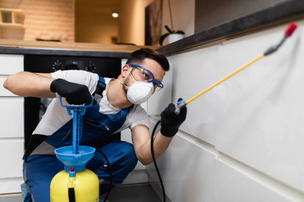 Best Local Pest Control Services  in Jones Valley, CA
