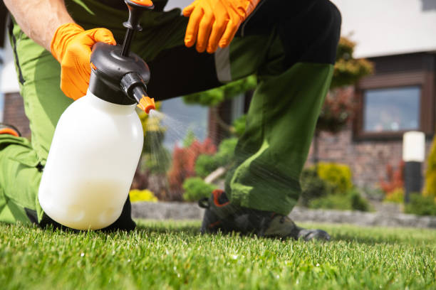 Best Exterminator Services  in Jones Valley, CA