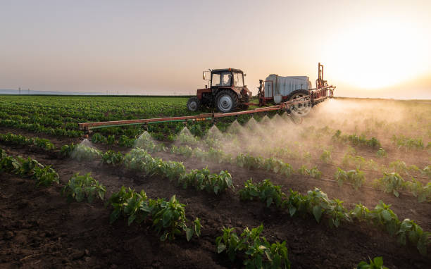 Best Commercial Pest Control Services  in Jones Valley, CA