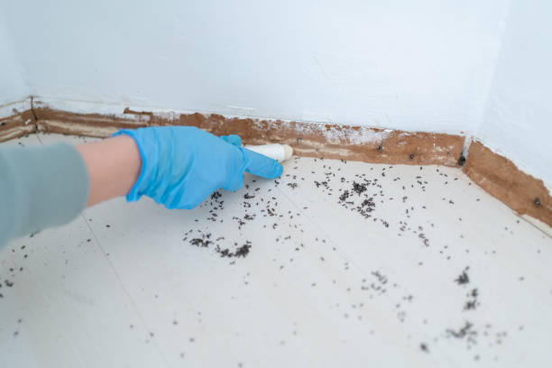 Best Pest Removal Services  in Jones Valley, CA